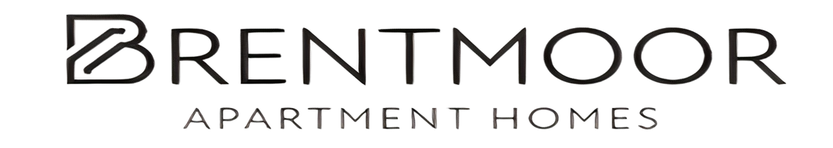 DF Logo